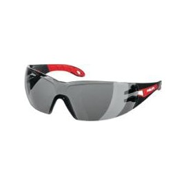 Gafas de seguridad PP EY-GU G HC/AF gris